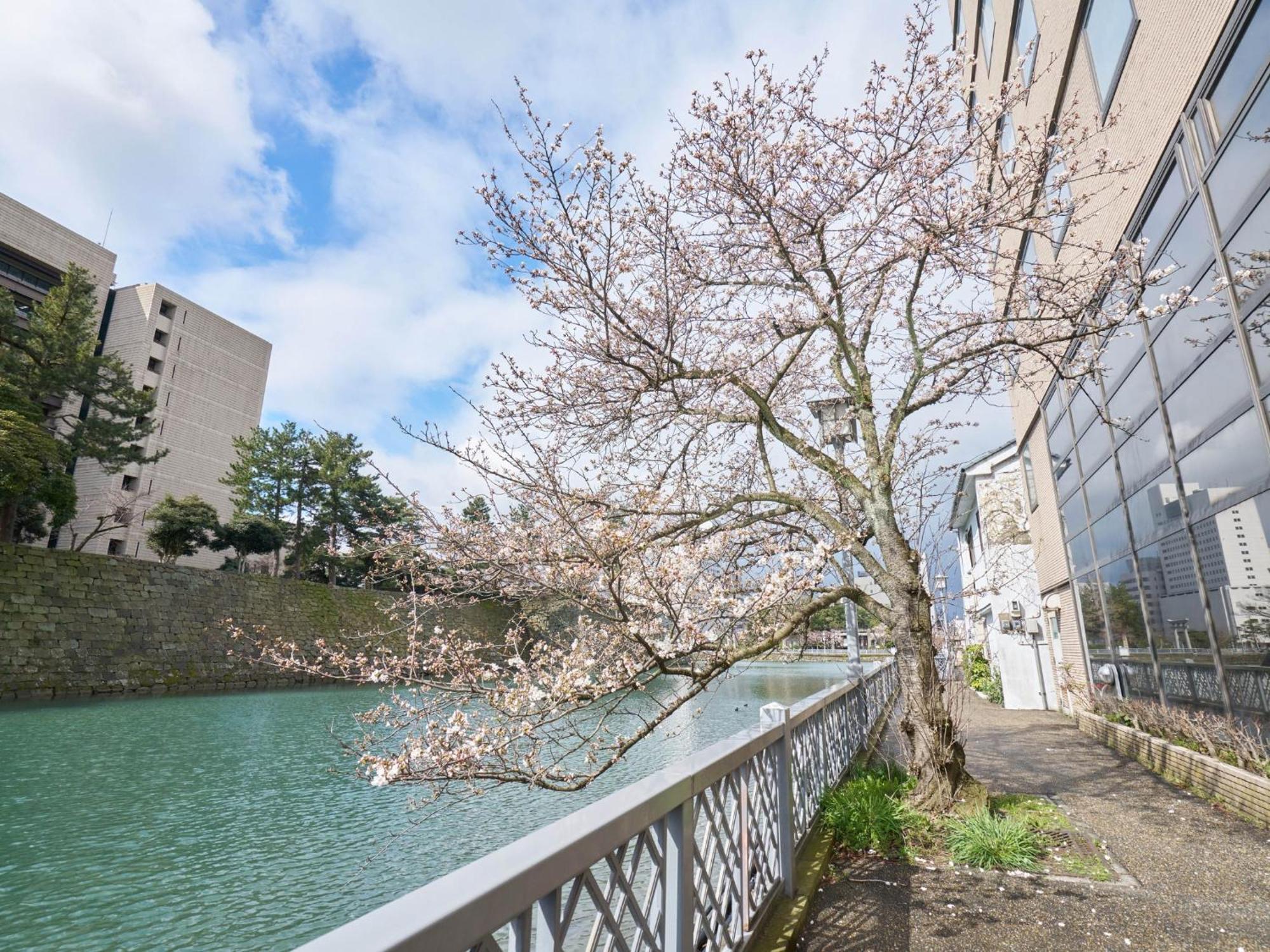 Hotel Fukui Castle - Vacation Stay 58696V Exterior foto